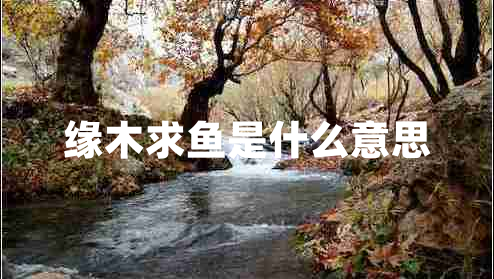 緣木求魚(yú)是什么意思