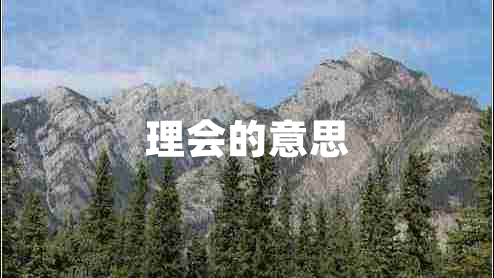 理會(huì)的意思
