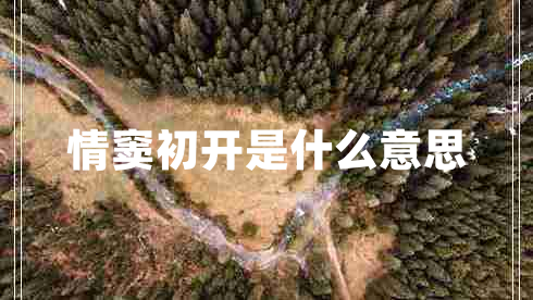 情竇初開(kāi)是什么意思