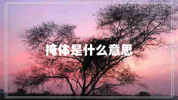 掩體是什么意思