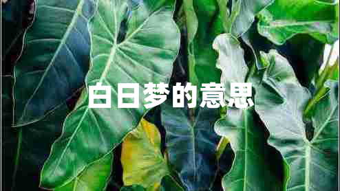 白日夢(mèng)的意思 白日夢(mèng)的意思
