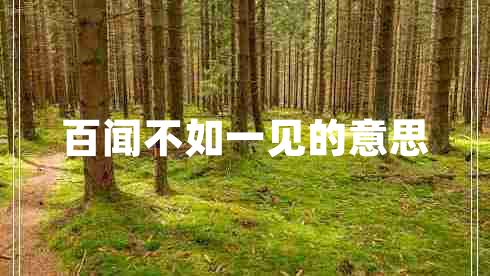 百聞不如一見的意思