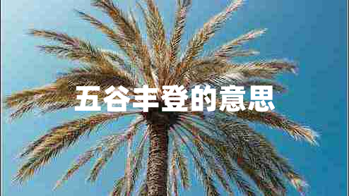 五谷豐登的意思