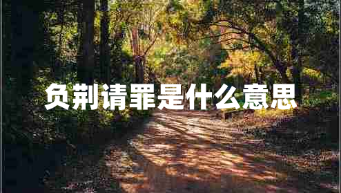 負(fù)荊請罪是什么意思