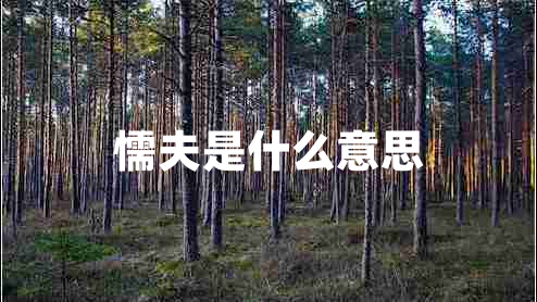 懦夫是什么意思