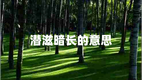 潛滋暗長的意思