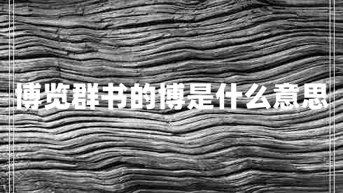 博覽群書(shū)的博是什么意思