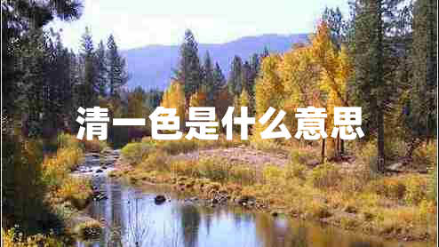 清一色是什么意思