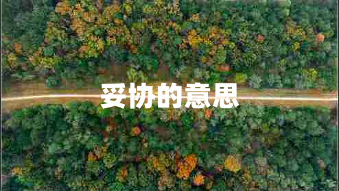 妥協(xié)的意思