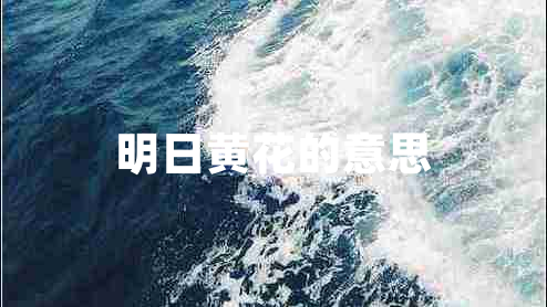 明日黃花的意思