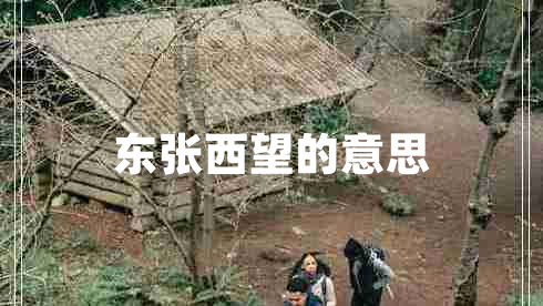 東張西望的意思