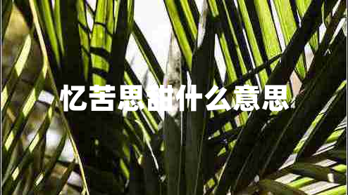 憶苦思甜什么意思