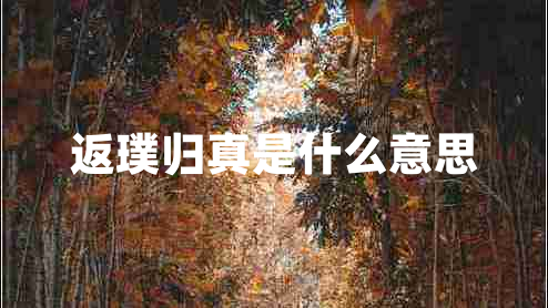 返璞歸真是什么意思