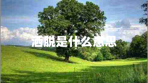 灑脫是什么意思