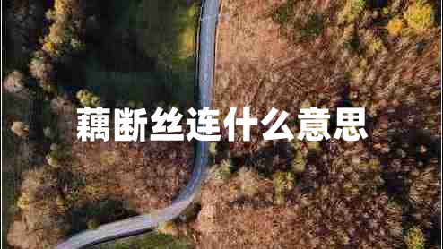 藕斷絲連什么意思