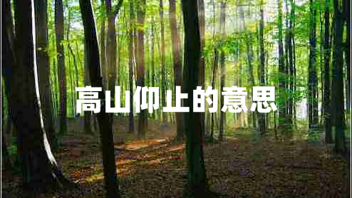高山仰止的意思 高山仰止的意思