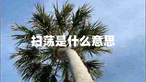 掃蕩是什么意思