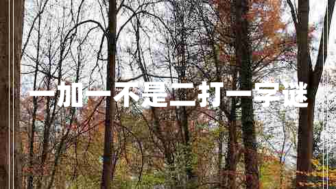 一加一不是二打一字謎