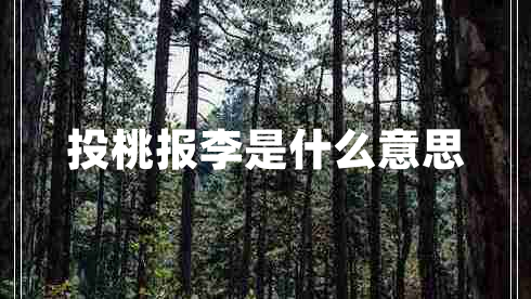 投桃報李是什么意思