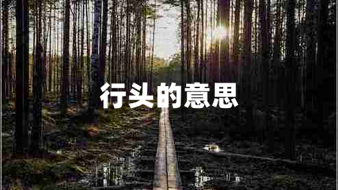 行頭的意思
