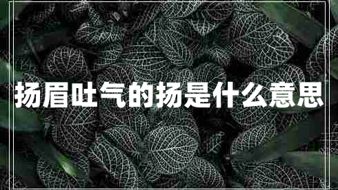 揚眉吐氣的揚是什么意思 揚眉吐氣的揚是什么意思