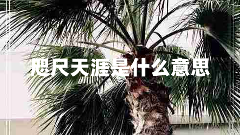 咫尺天涯是什么意思