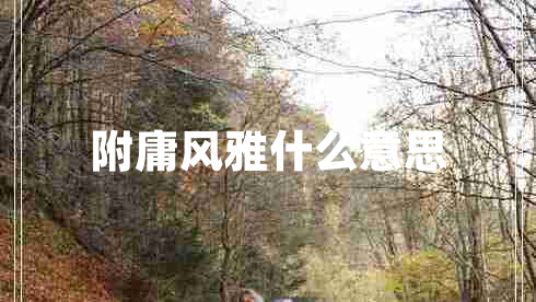 附庸風(fēng)雅什么意思