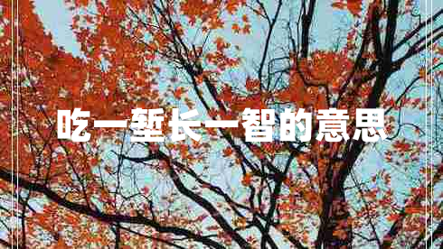 吃一塹長(zhǎng)一智的意思 吃一塹長(zhǎng)一智的意思