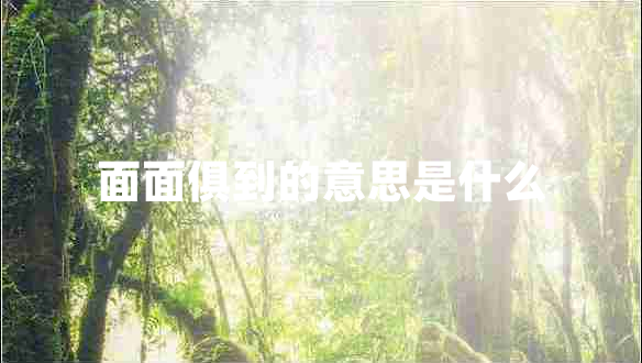 面面俱到的意思是什么