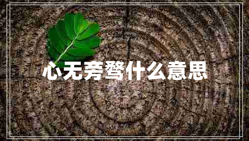 心無旁騖什么意思
