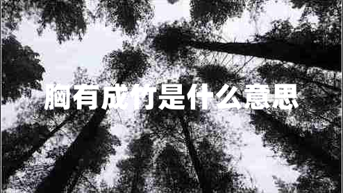 胸有成竹是什么意思