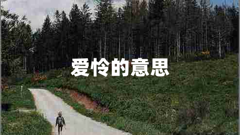 愛憐的意思