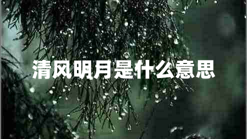 清風明月是什么意思