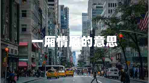 一廂情愿的意思 一廂情愿的意思