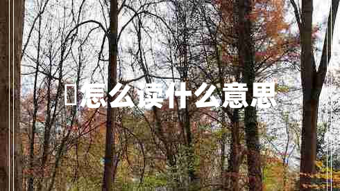 曌怎么讀什么意思 曌怎么讀什么意思