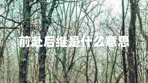 前赴后繼是什么意思