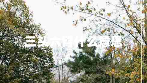 三頭六臂什么意思