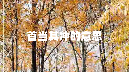 首當(dāng)其沖的意思