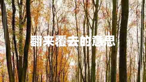 翻來覆去的意思