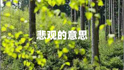 悲觀的意思 悲觀的意思