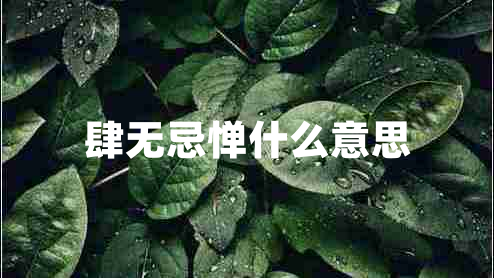 肆無忌憚什么意思 肆無忌憚什么意思