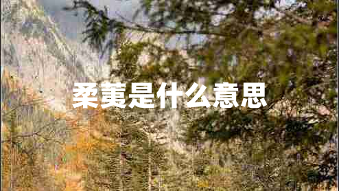 柔荑是什么意思