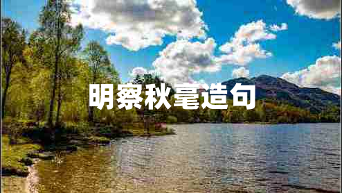 明察秋毫造句 明察秋毫造句