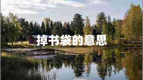 掉書袋的意思