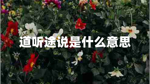 道聽(tīng)途說(shuō)是什么意思