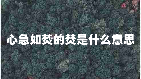 心急如焚的焚是什么意思 心急如焚的焚是什么意思