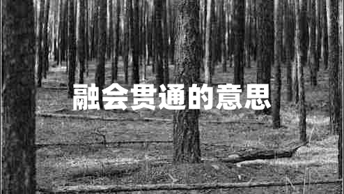 融會貫通的意思 融會貫通的意思