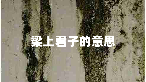 梁上君子的意思 梁上君子的意思