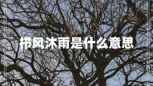 櫛風(fēng)沐雨是什么意思