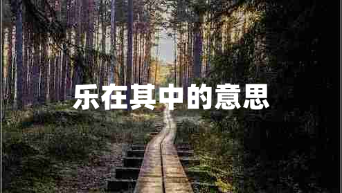 樂在其中的意思
